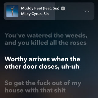 Lyrics from Miley Cyrus' "Muddy" feat. Sia from the 'Endless Summer Vacation' album